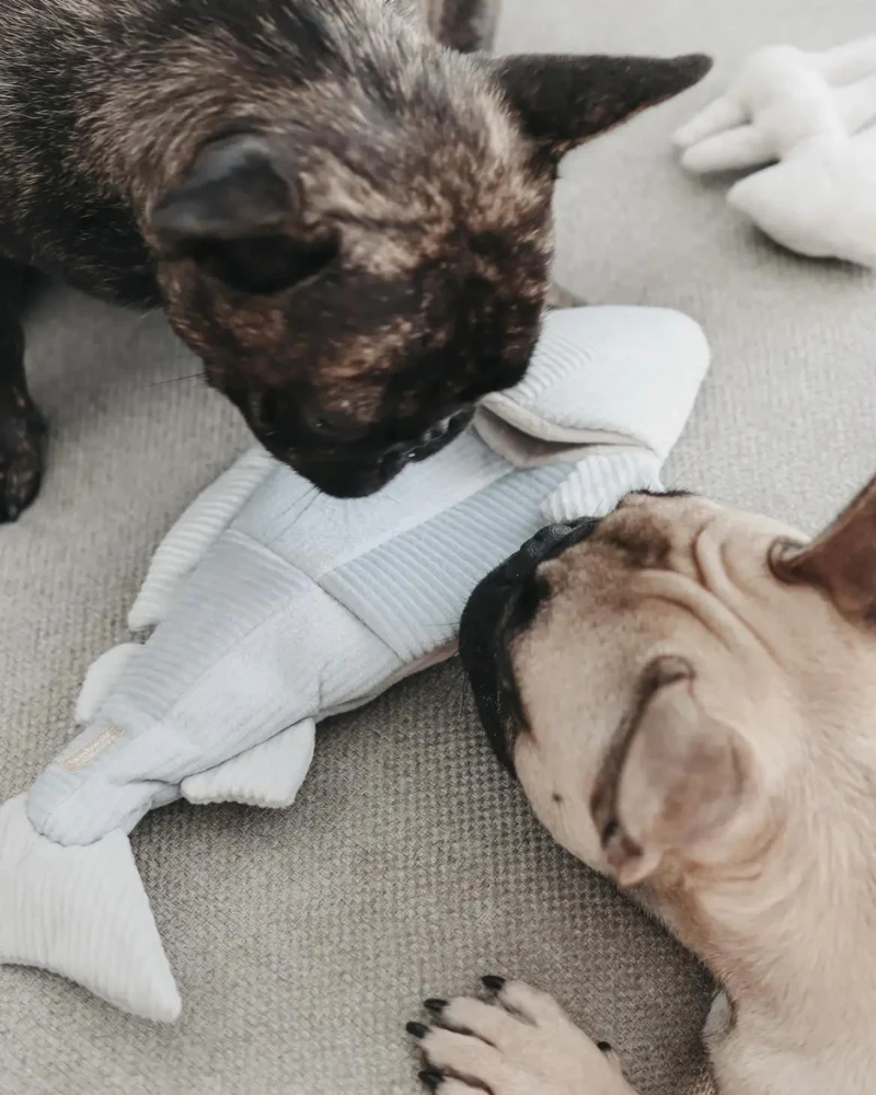 2-IN-1 Burrow + Snuggle Trout Fish Dog Toy - Image 6
