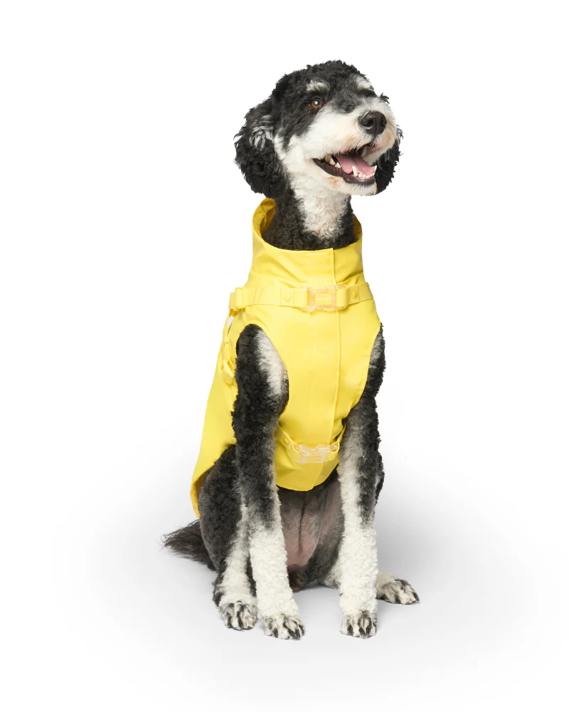 2-In-1 Dog Harness Raincoat in Yellow - Image 2