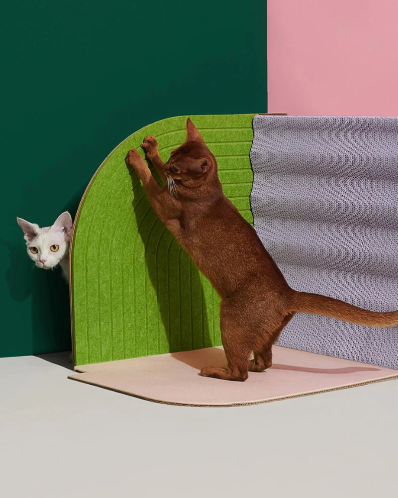 3-Dimensional Cat Scratcher - Image 3