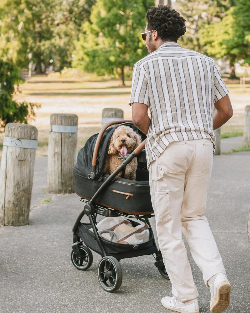 Maeve™ + Roscoe™ 3-in-1 Pet Stroller & Car Seat - Image 2