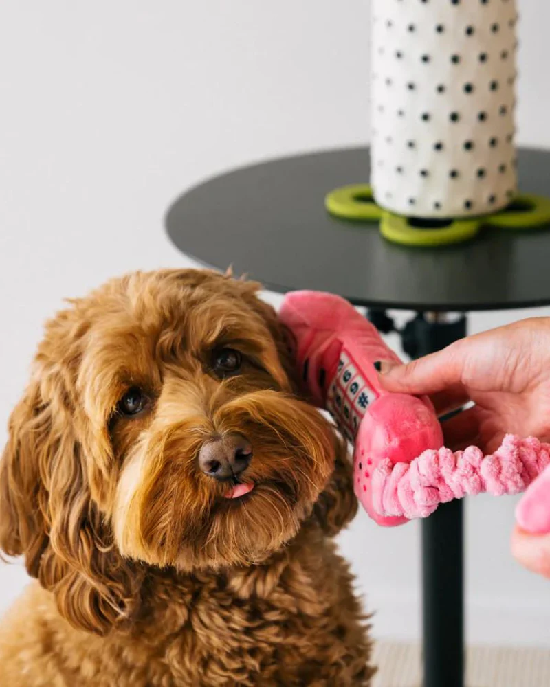 80s Classic Corded Phone Squeaky Dog Toy - Image 3