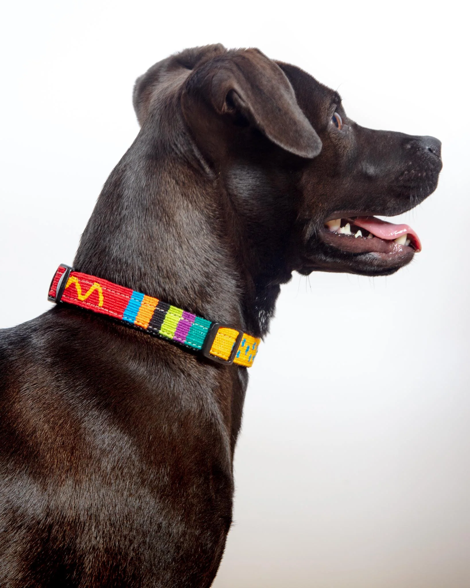 Sun Valley Holiday Collar (Made in the USA) (FINAL SALE) - Image 3