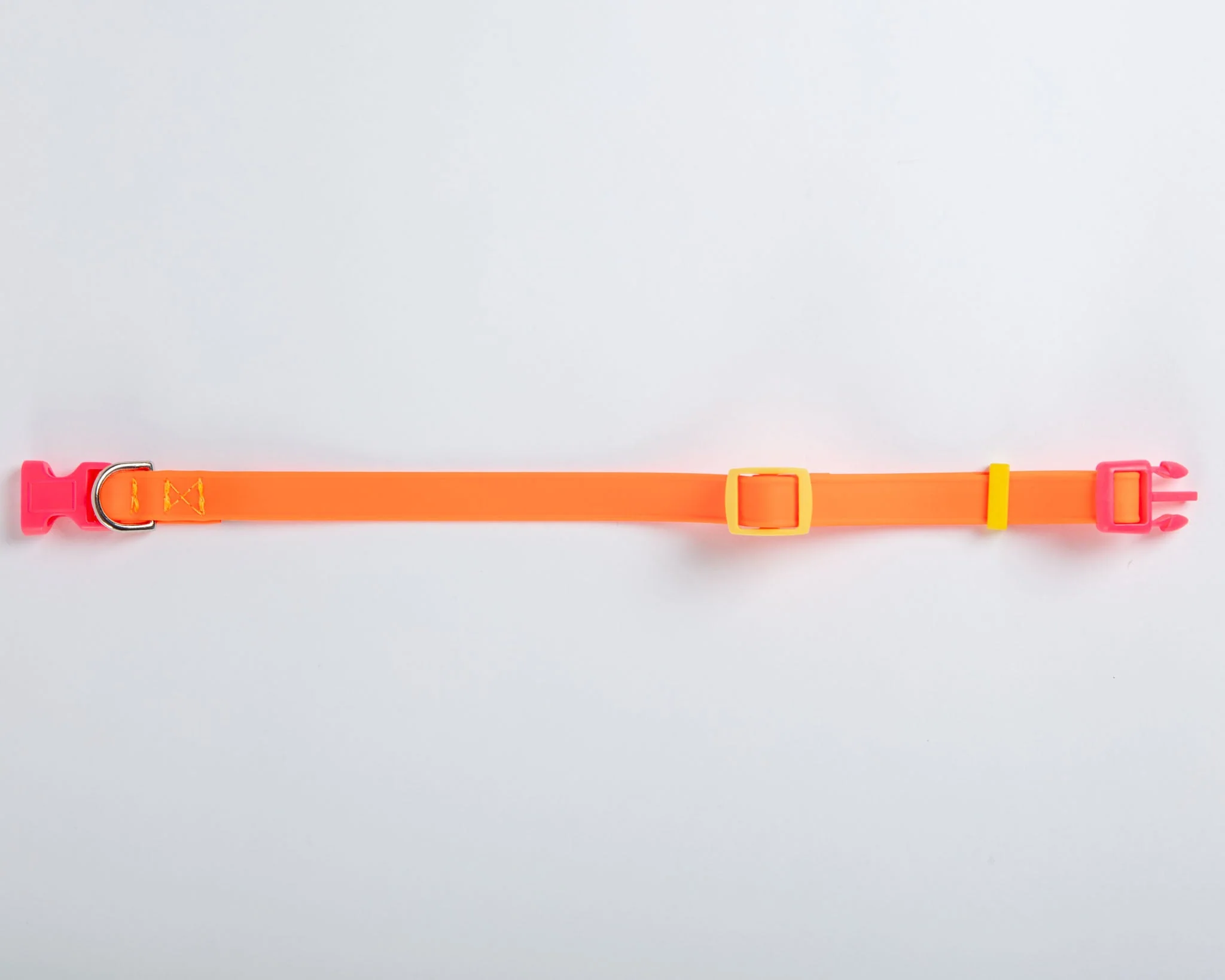 A Walk in the Park Dog Collar in Neon Orange (Made in the USA) - Image 5