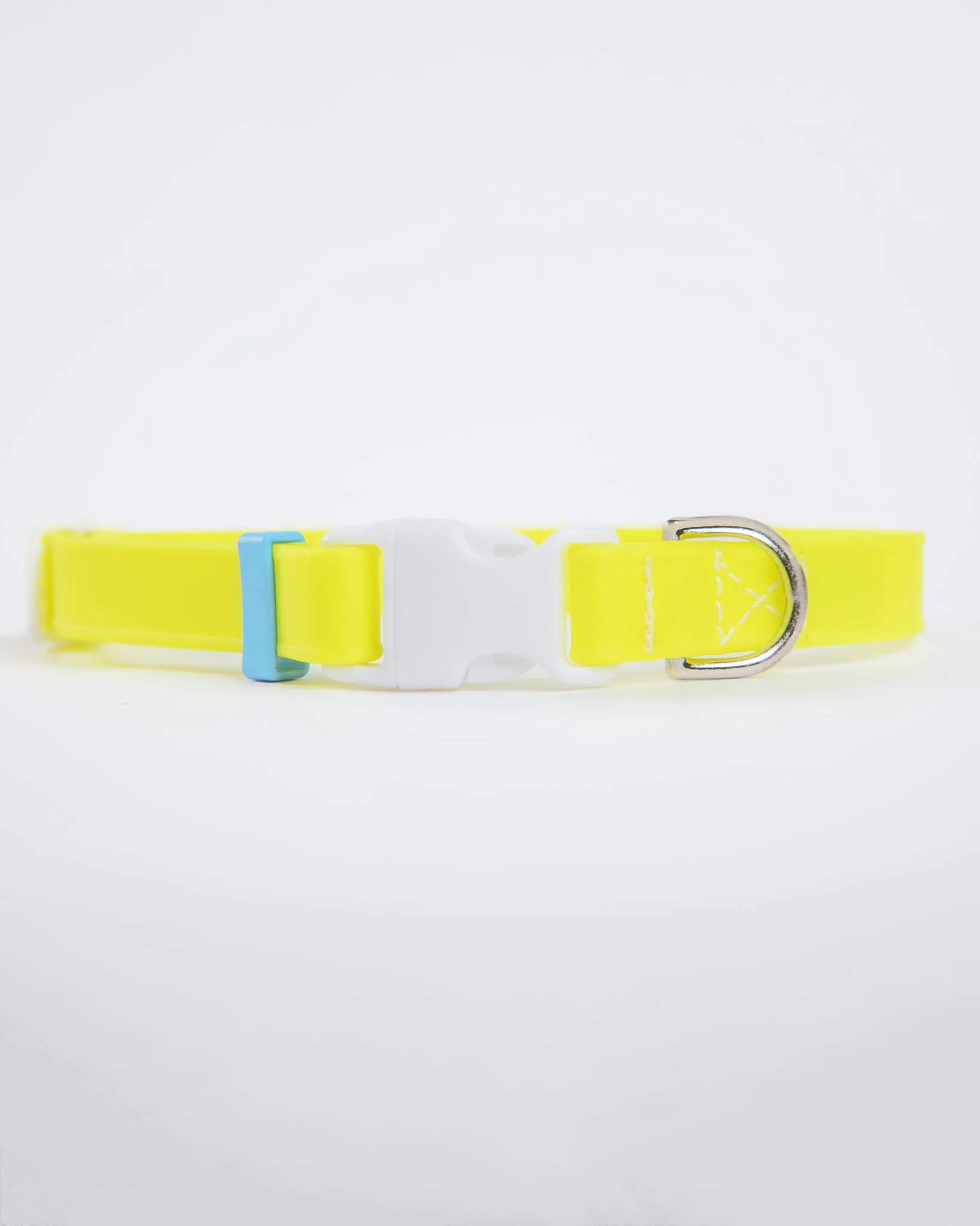A Walk in the Park Dog Collar in Neon Yellow (Made in the USA) (FINAL SALE) - Image 3