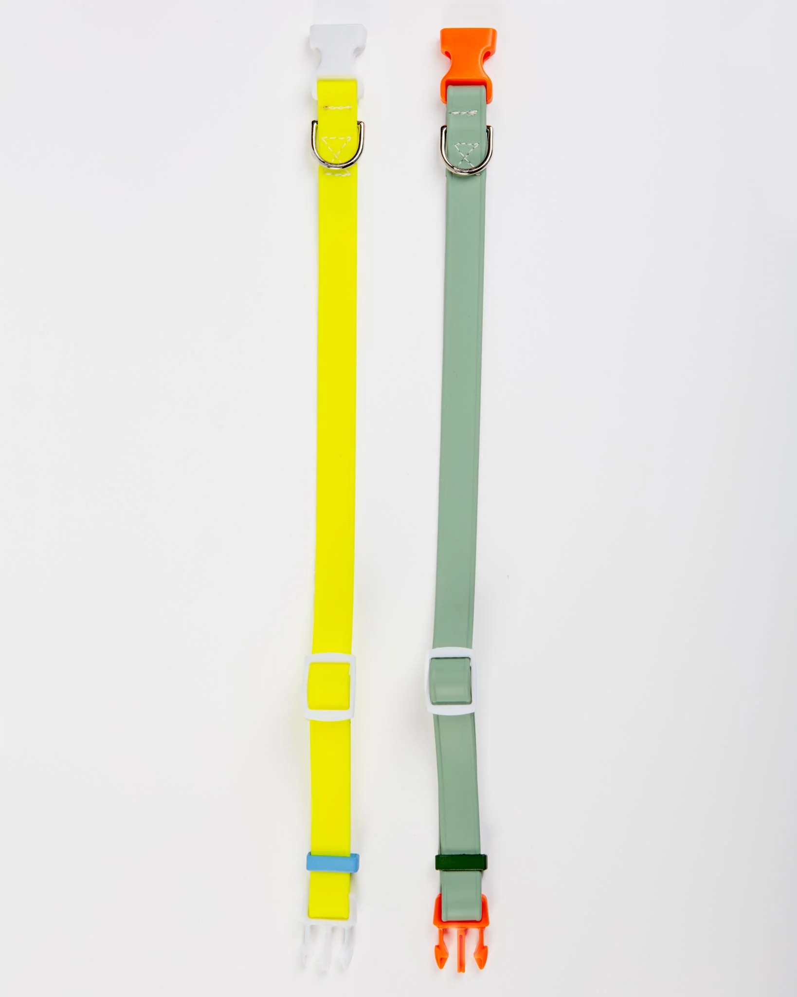 A Walk in the Park Dog Collar in Sage Green (Made in the USA) - Image 3