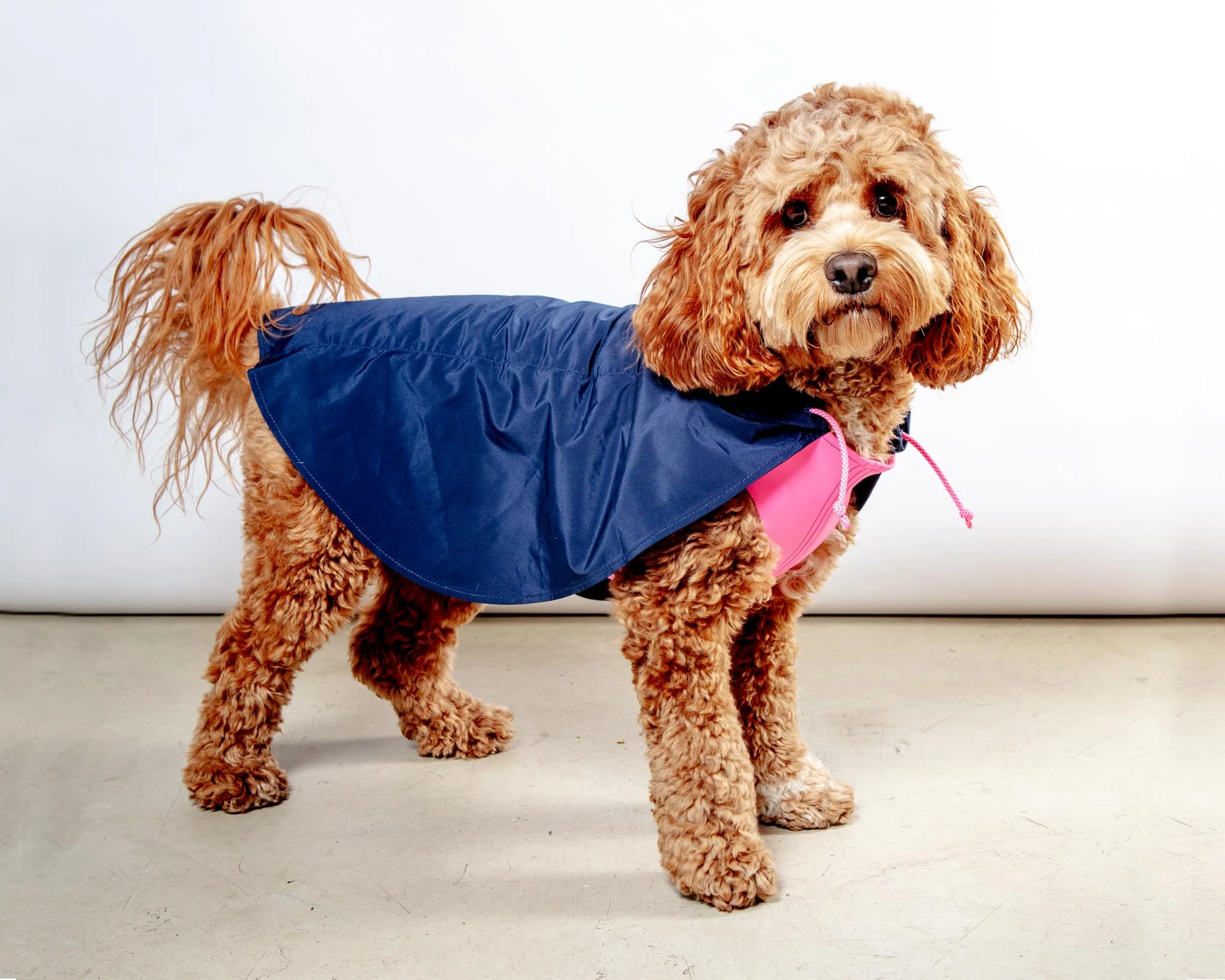 Action Jacket Pull-On Raincoat in Navy + Neon Pink (Made in NYC) - Image 5