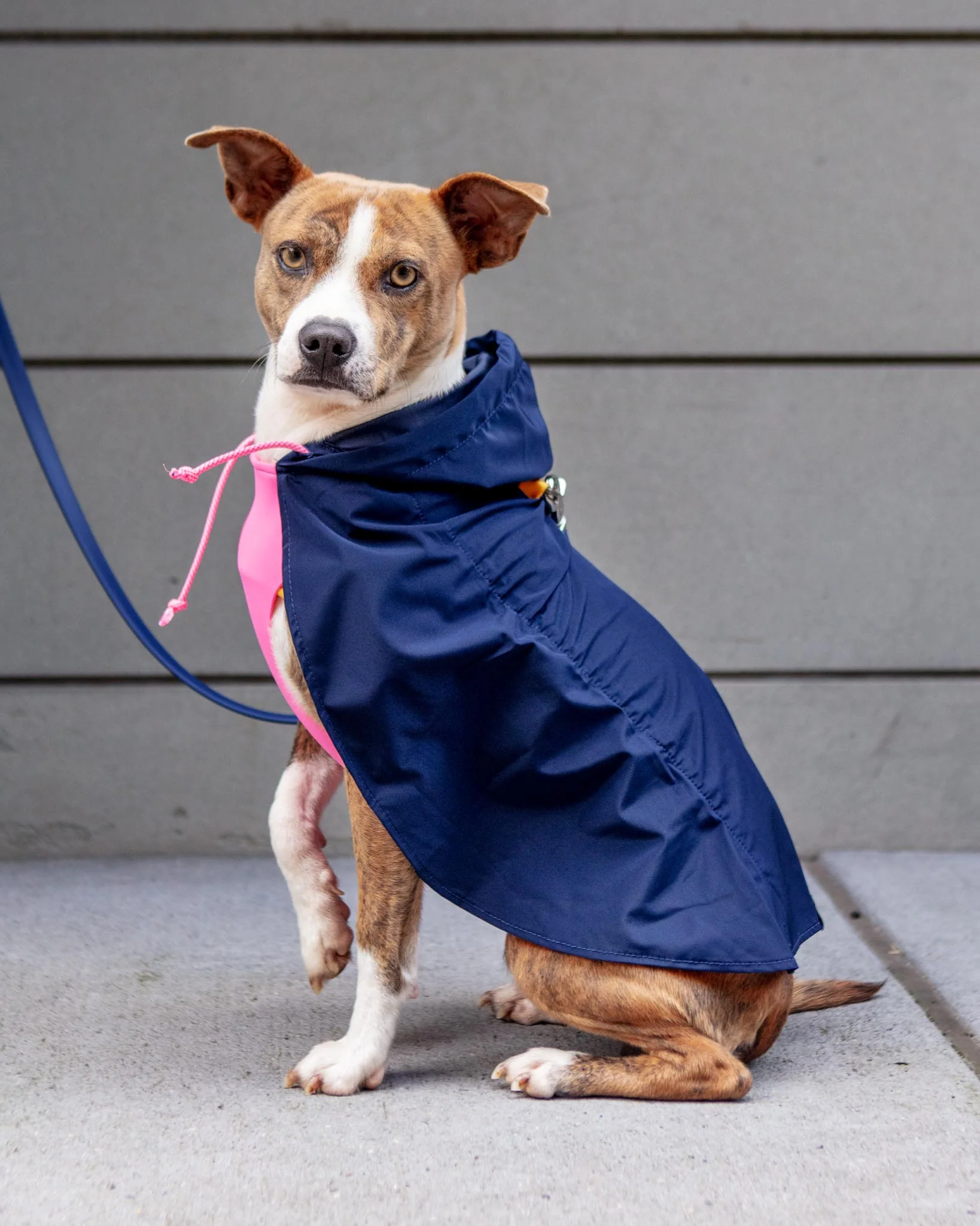 Action Jacket Pull-On Raincoat in Navy + Neon Pink (Made in NYC) - Image 7