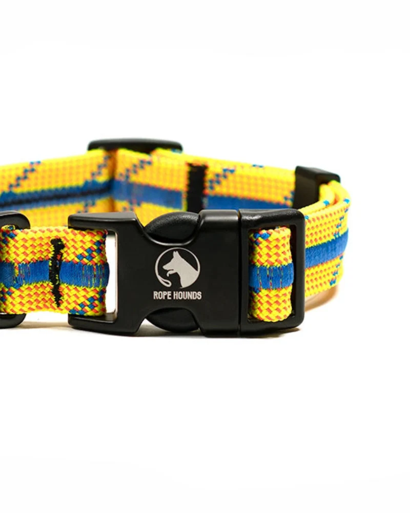 Adventure Dog Collar in Sunkiss Splash (Made in the USA) - Image 2