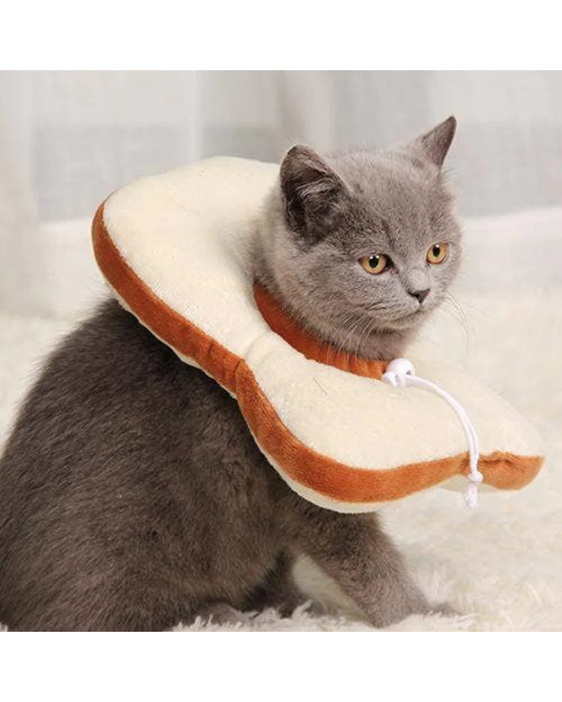 Small Dog or Cat Bread Cone