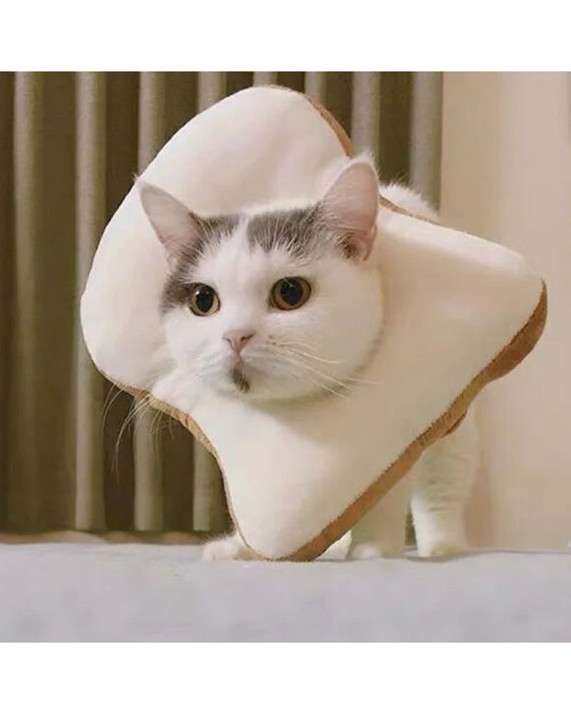 Small Dog or Cat Bread Cone - Image 4