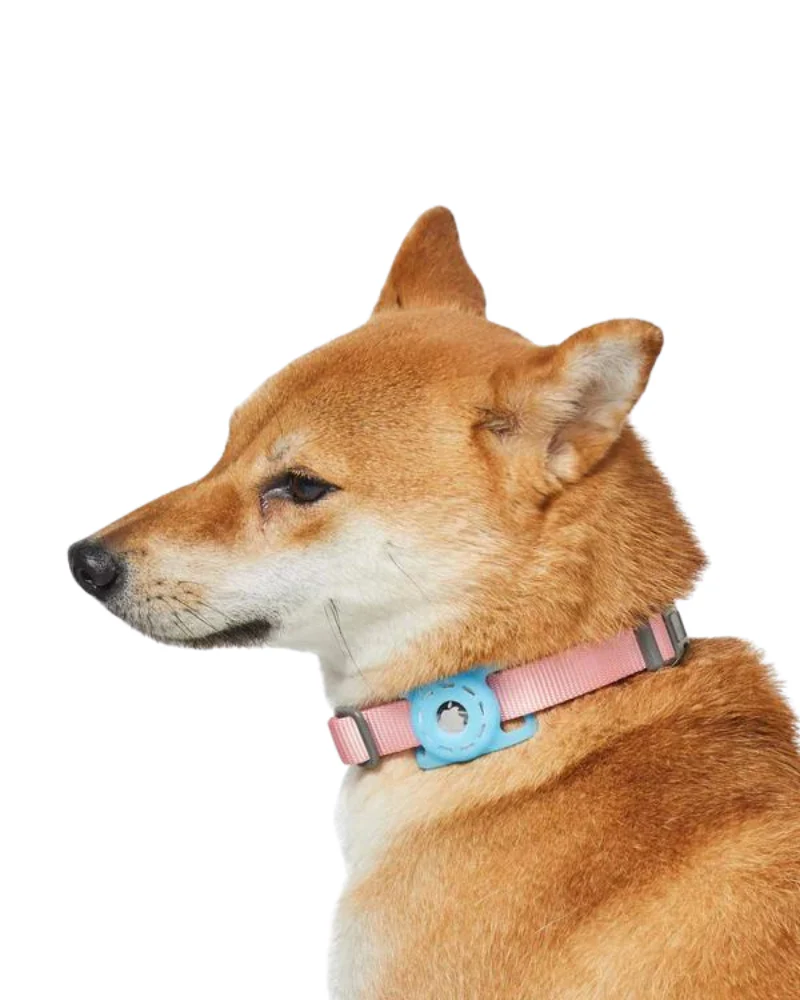 AirTag Holder For Pet Collar - Image 2