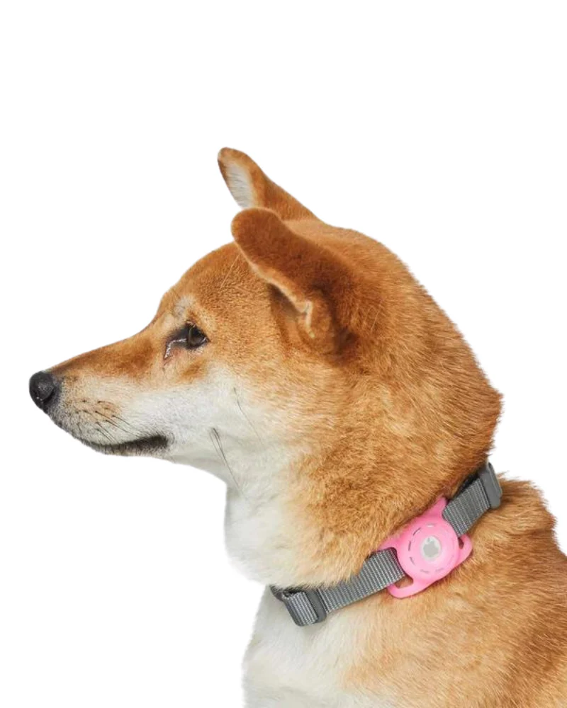AirTag Holder For Pet Collar - Image 3