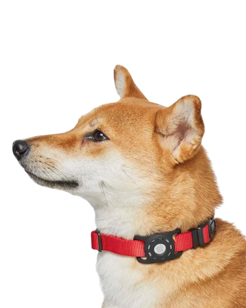 AirTag Holder For Pet Collar - Image 7