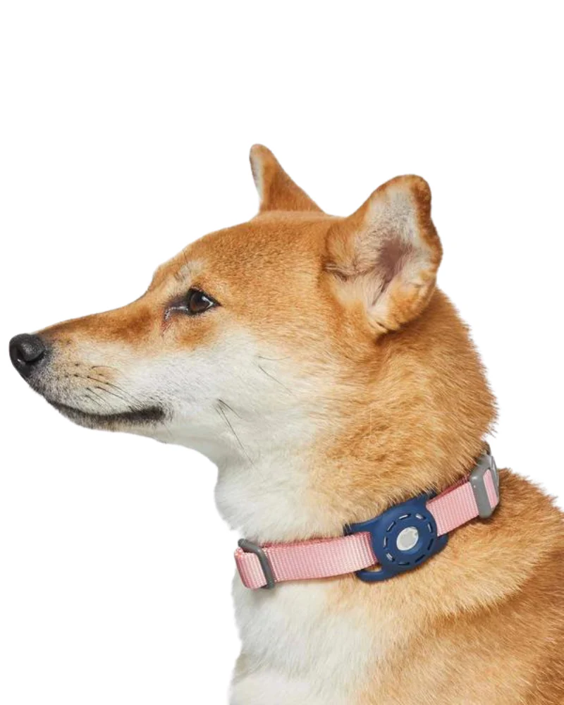 AirTag Holder For Pet Collar - Image 9