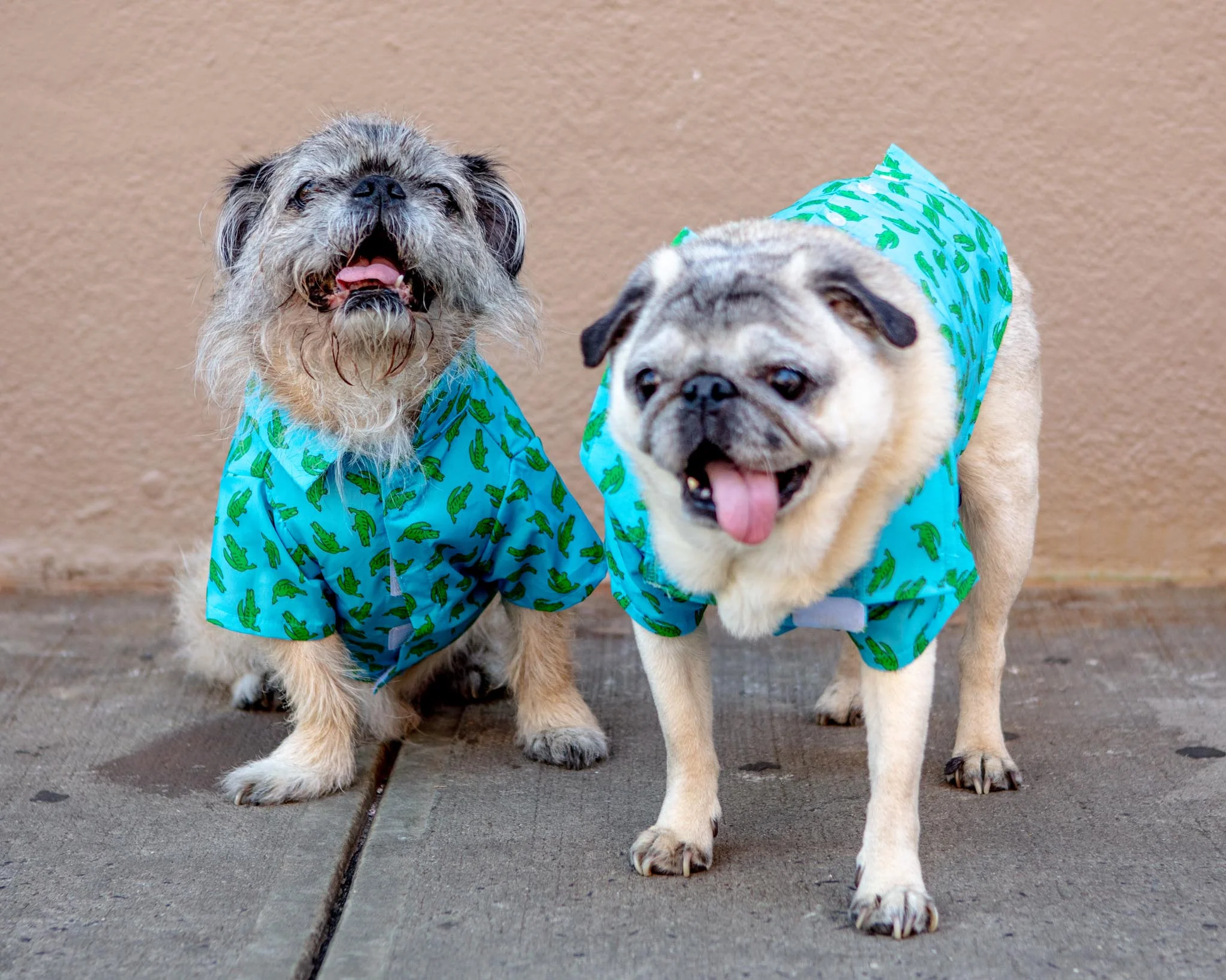 Al the Gator Dog Shirt - Image 3