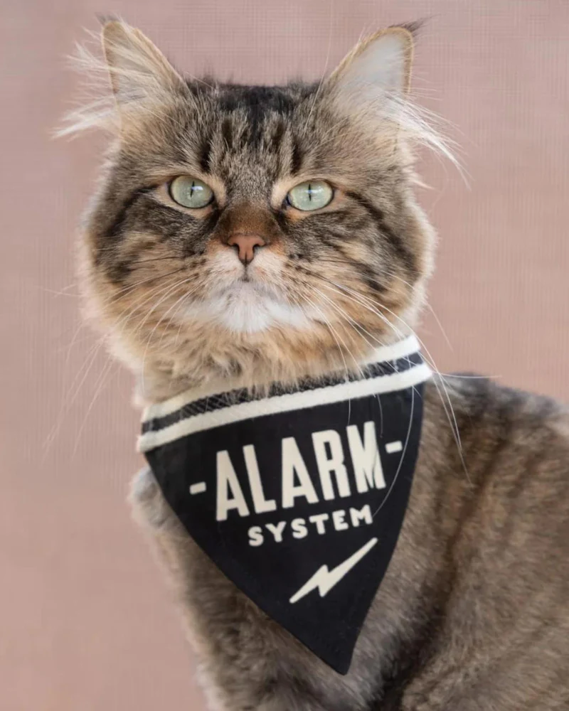 Alarm System Pet Bandana (FINAL SALE) - Image 2
