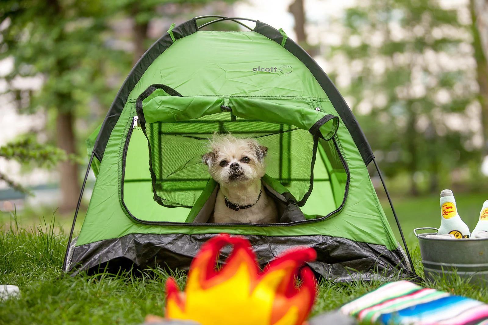 ALCOTT | Pup Tent - Image 2