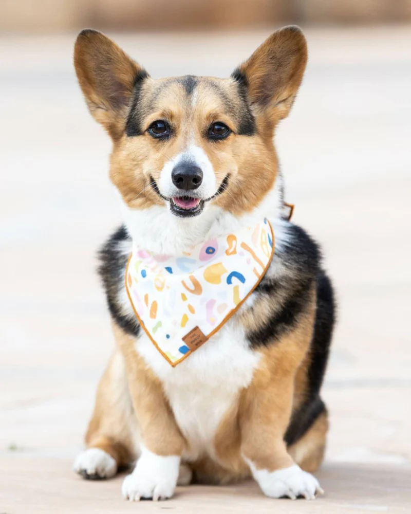 Alja Horvat Terrazzo Dog Bandana (Made in the USA) - Image 4