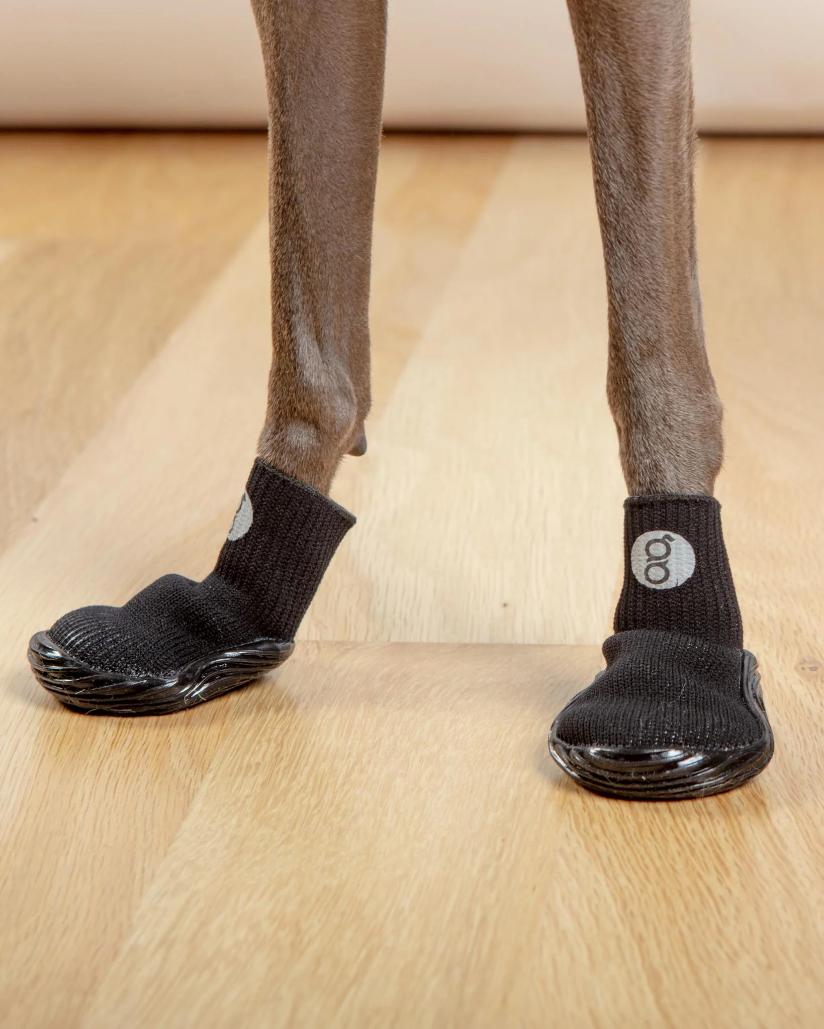 All Season & All Terrain Stretch and Go Dog Boots in Black (CLEARANCE) - Image 2