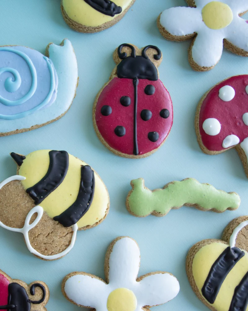 All Things Spring Dog Biscuit Mix