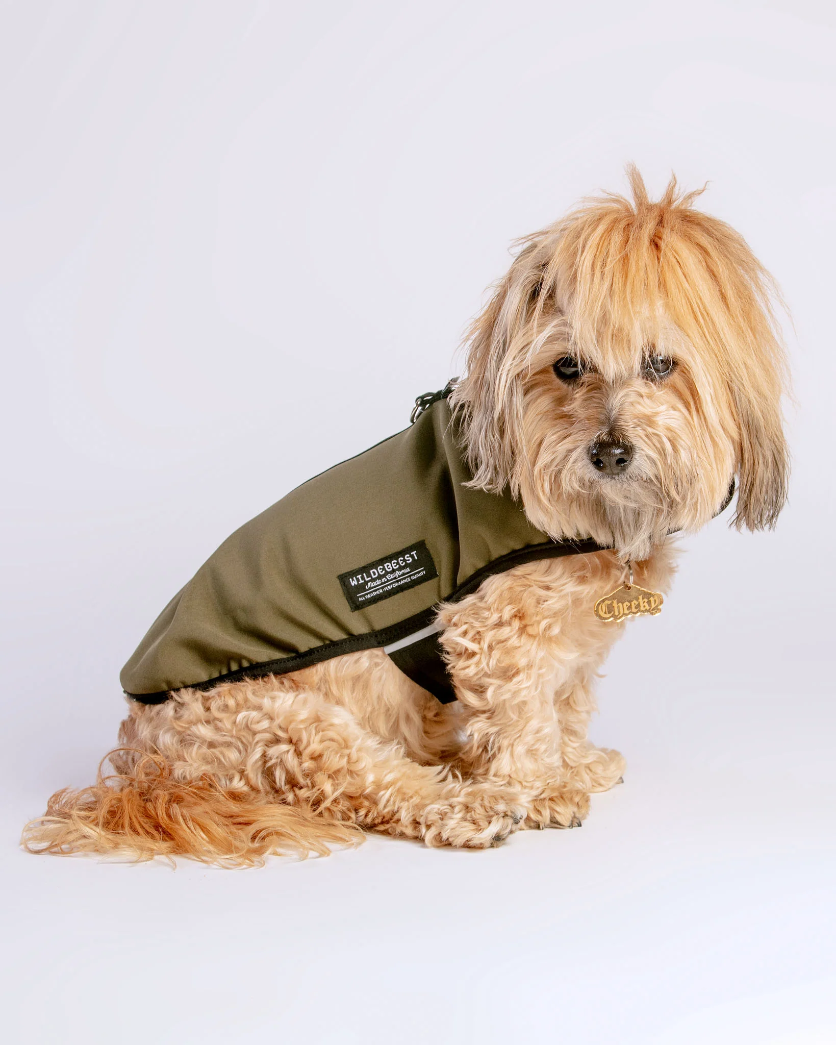 All Weather Jacket in Olive Green (Made in the USA) (FINAL SALE) - Image 2