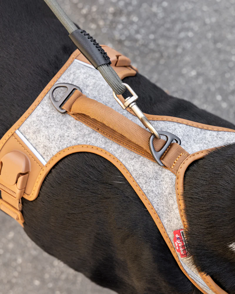 Alpine Belka Dog Harness (for Medium to Large Dogs) - Image 3