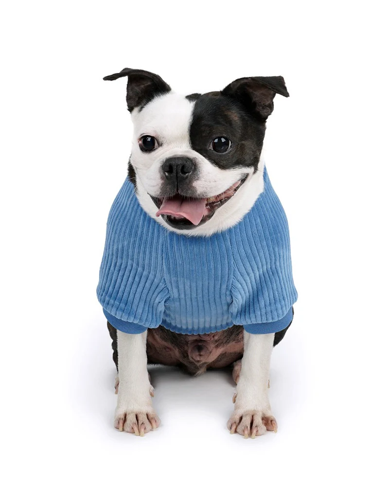 Amber Dog Tee in Sky Blue (FINAL SALE) - Image 8