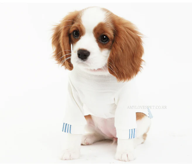 ALP | High T Shirt - Image 5