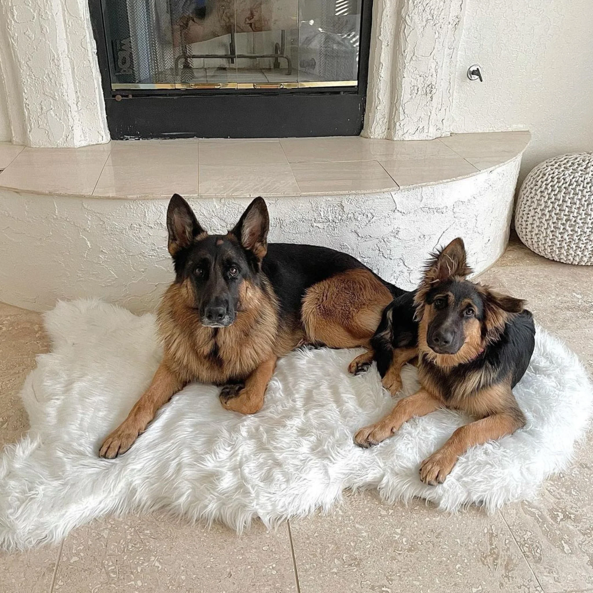 Memory Foam Dog Bed In Polar Bear Faux Fur (CLEARANCE) - Image 2