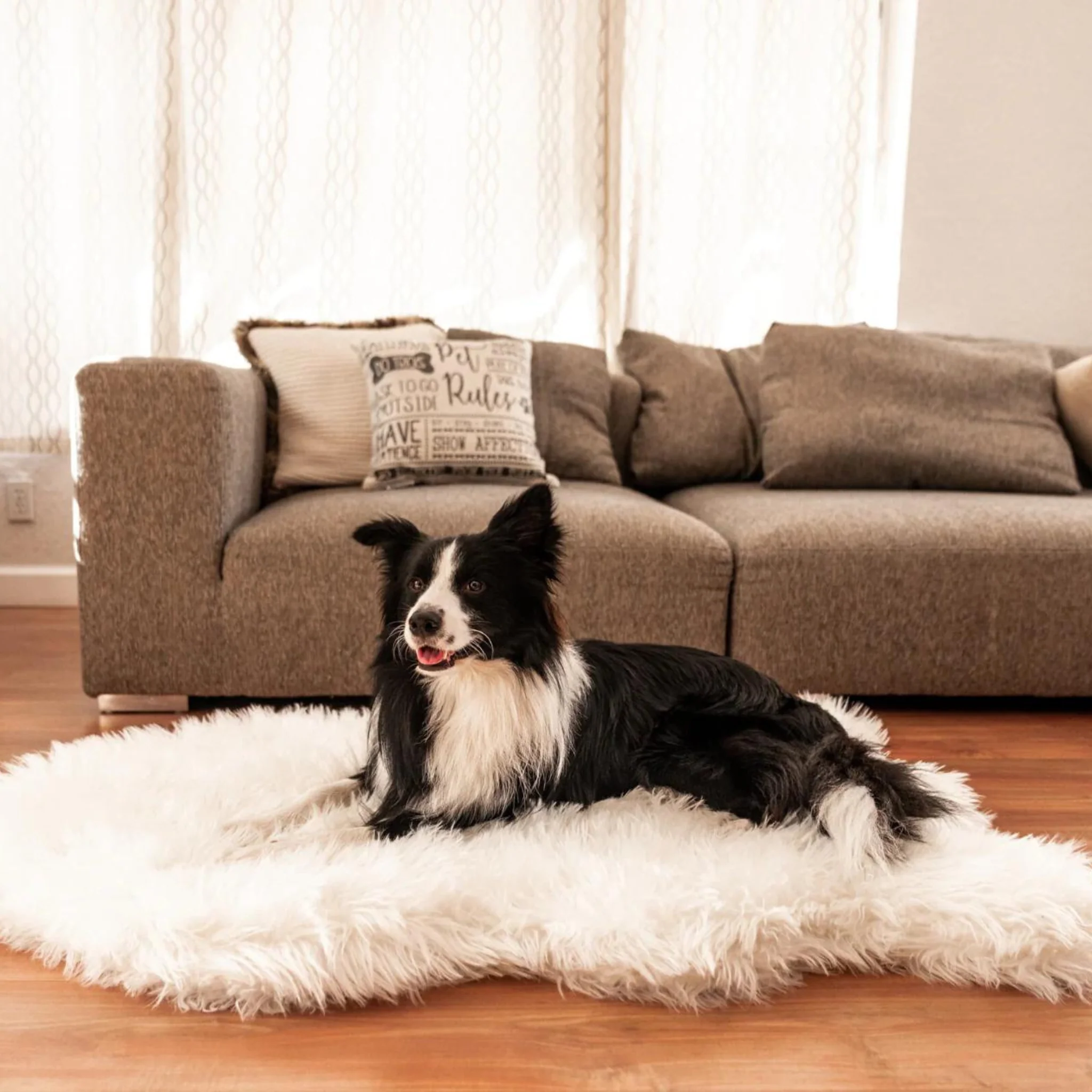 Memory Foam Dog Bed In Polar Bear Faux Fur (CLEARANCE) - Image 4