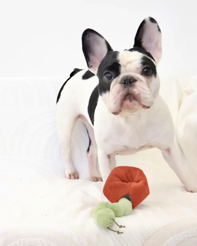 Apple Interactive Snuffle Dog Toy - Image 10