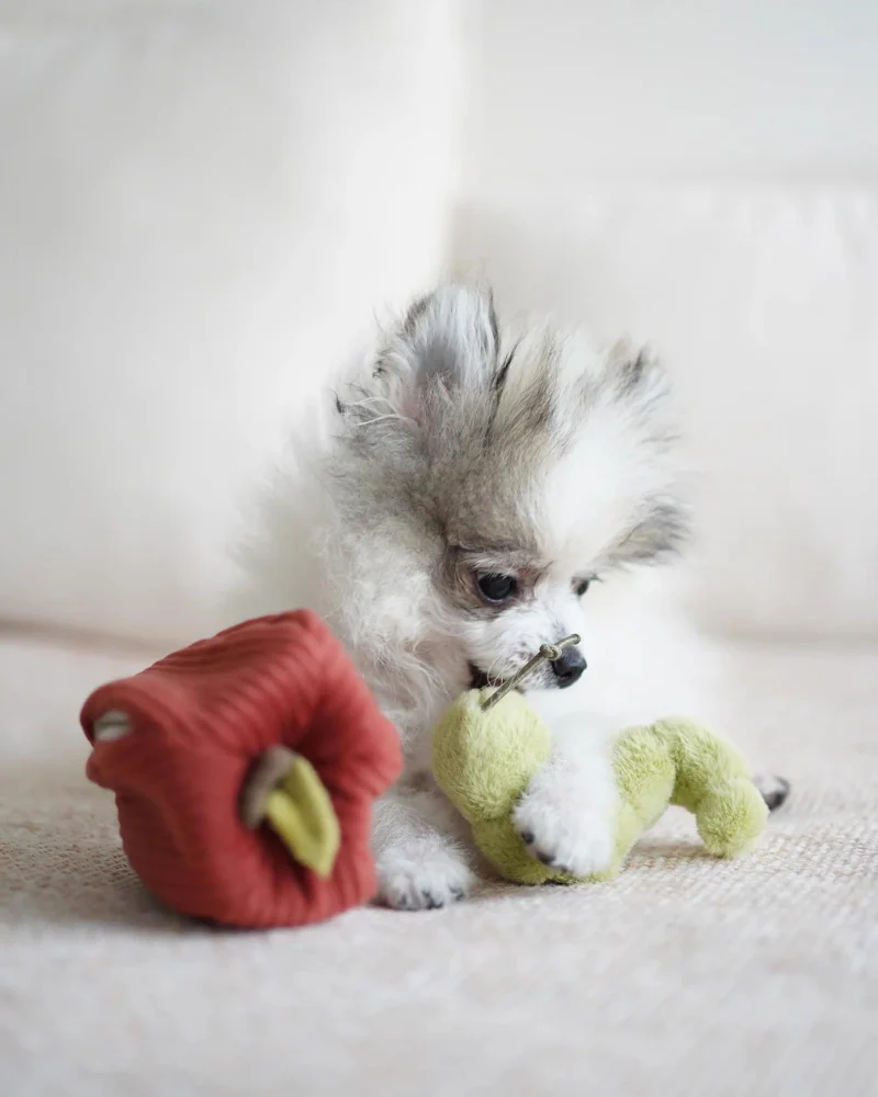 Apple Interactive Snuffle Dog Toy - Image 6