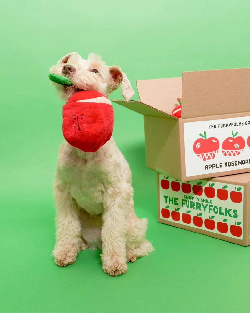 Apple Nosework Dog Toy - Image 9