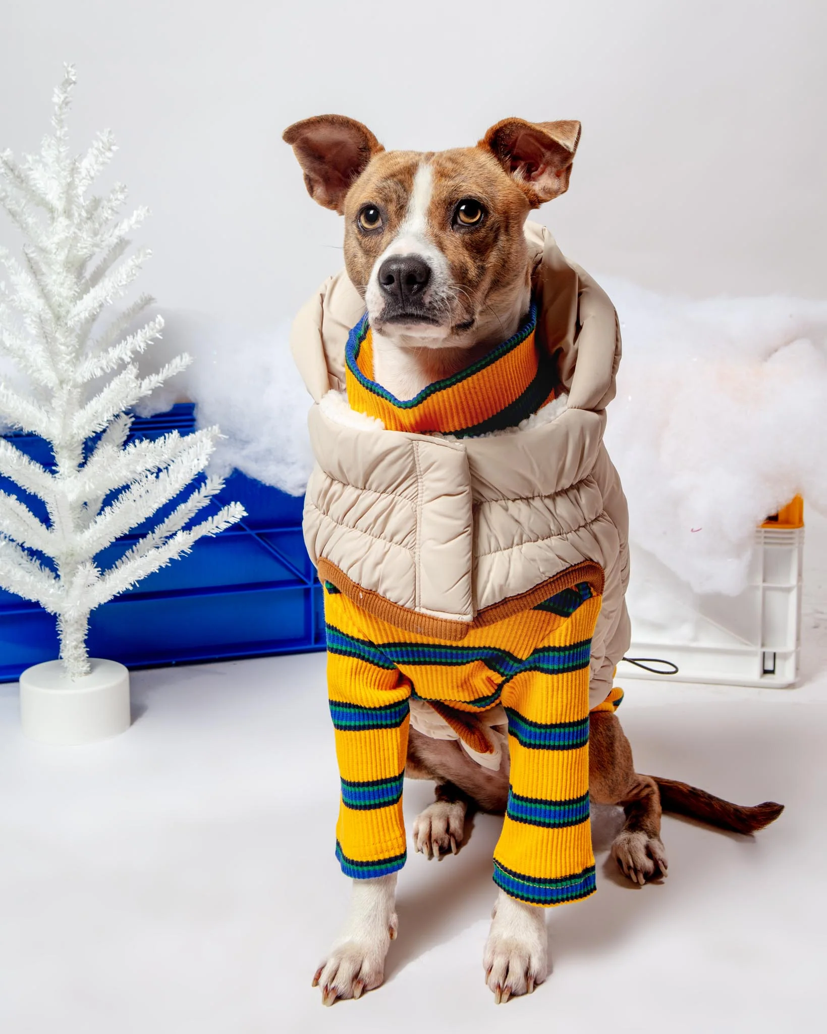 Arctic Dog Parka in Sand - Image 3