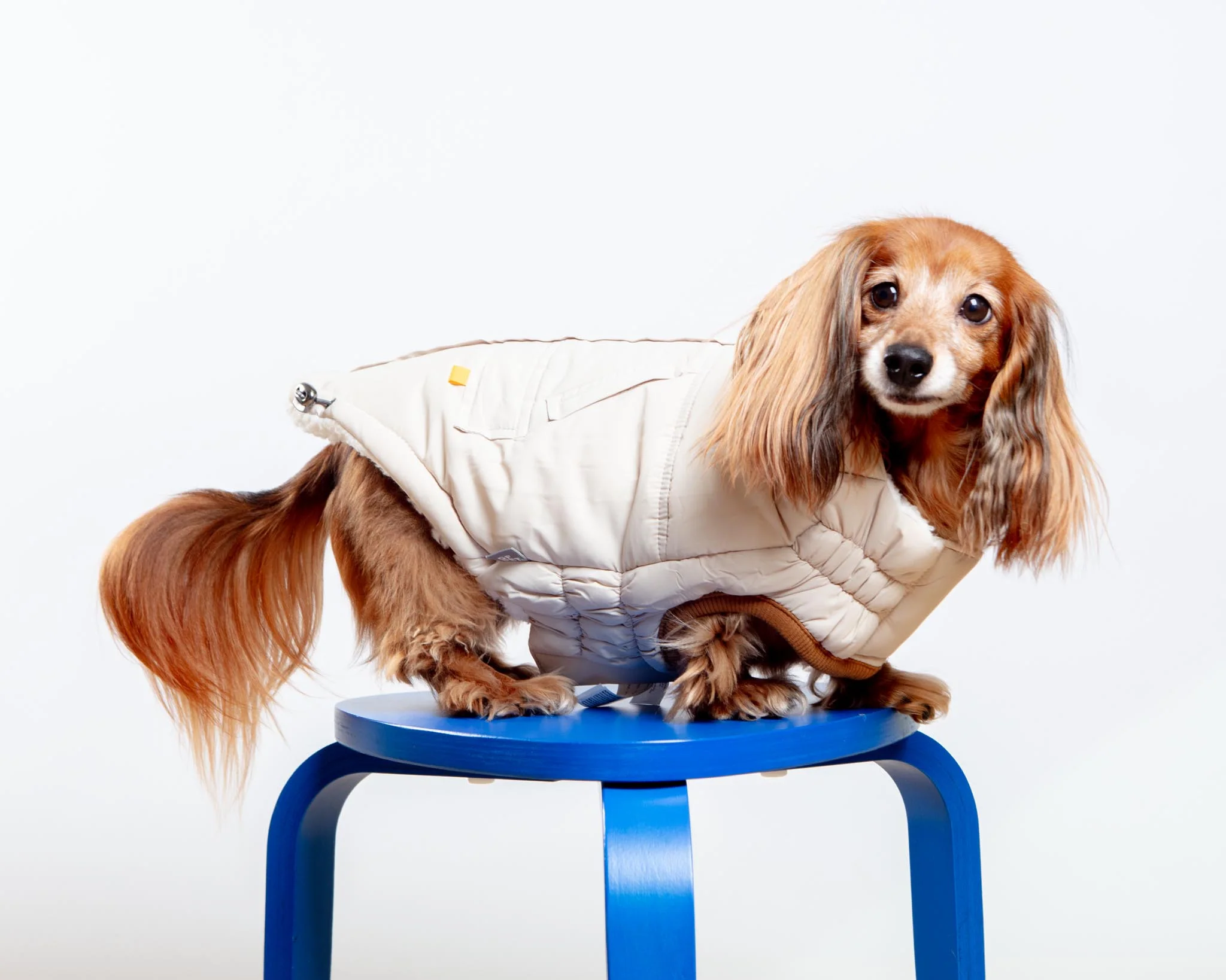 Arctic Dog Parka in Sand - Image 6