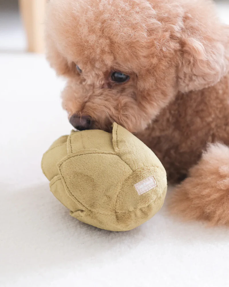 Artichoke Snuff + Squeaky Plush Toy for Dogs - Image 4