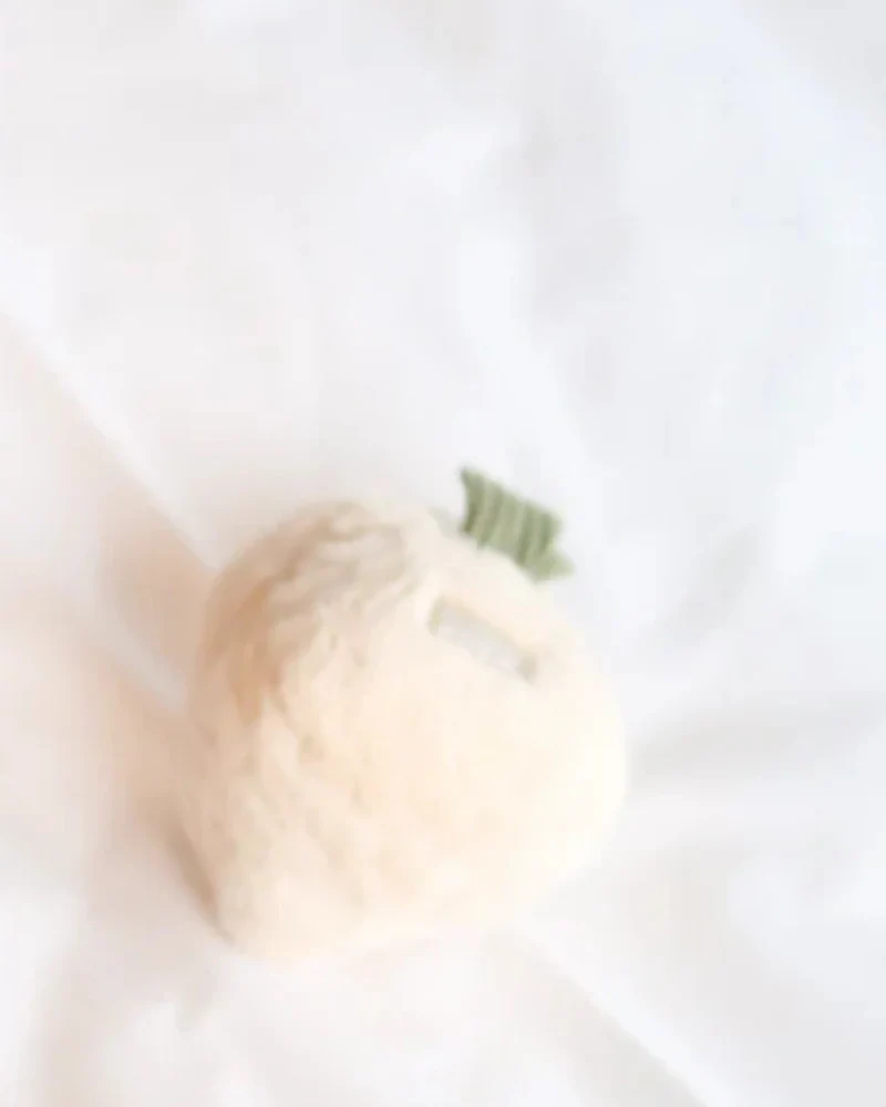 Turnip Squeaky Plush Toy for Dogs - Image 4