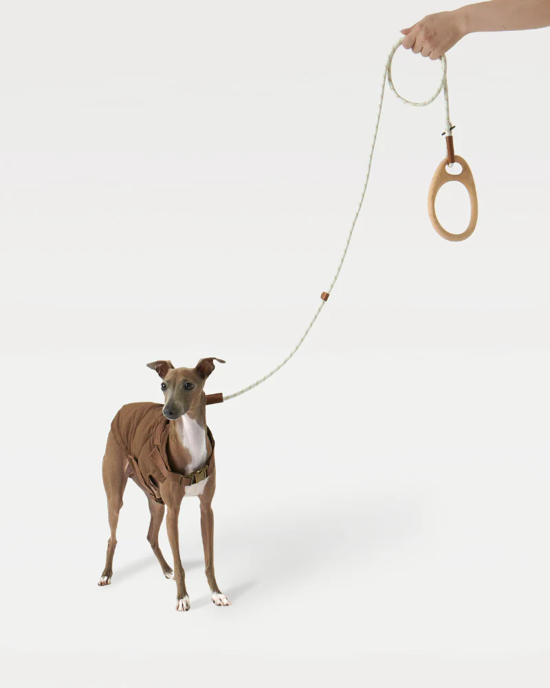 Ash Wood Handle Dog Leash