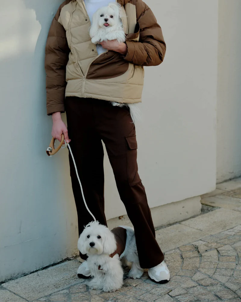 Ash Wood Handle Dog Leash - Image 6