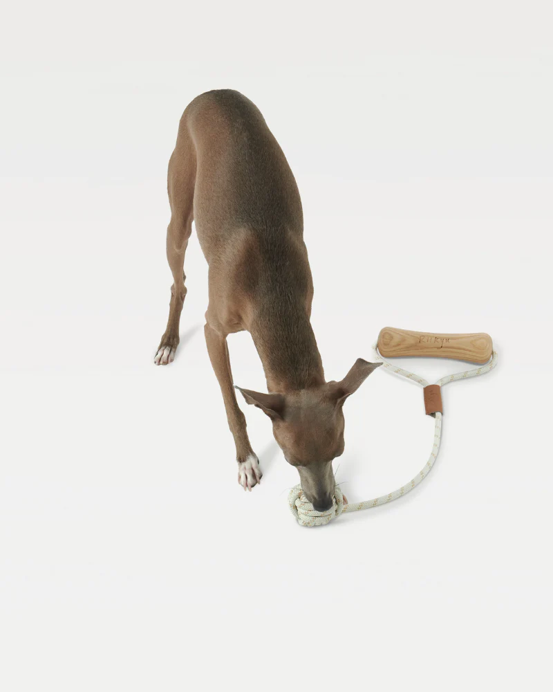 Ash Wood Handle + Rope Ball Dog Toy - Image 5