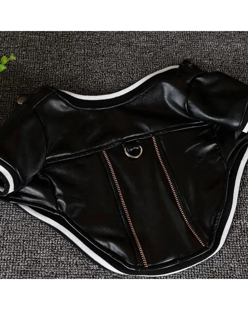 Very Varsity Faux Leather Dog Jacket with D-Ring (FINAL SALE) - Image 3