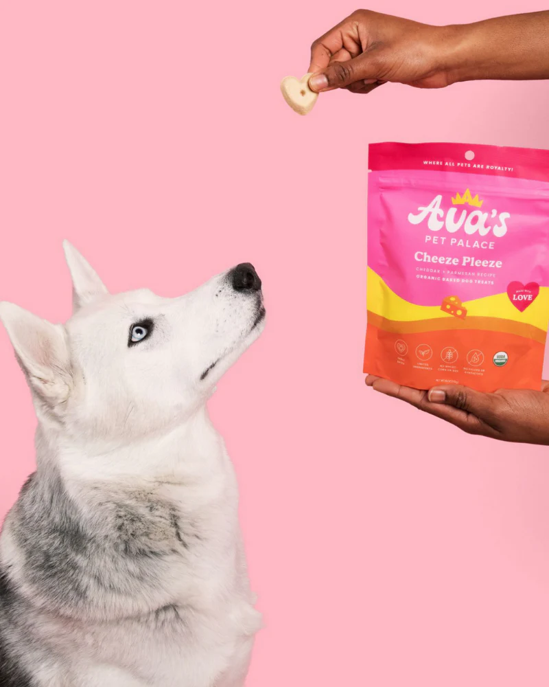Cheeze Pleeze Dog Biscuit Bites - Image 6