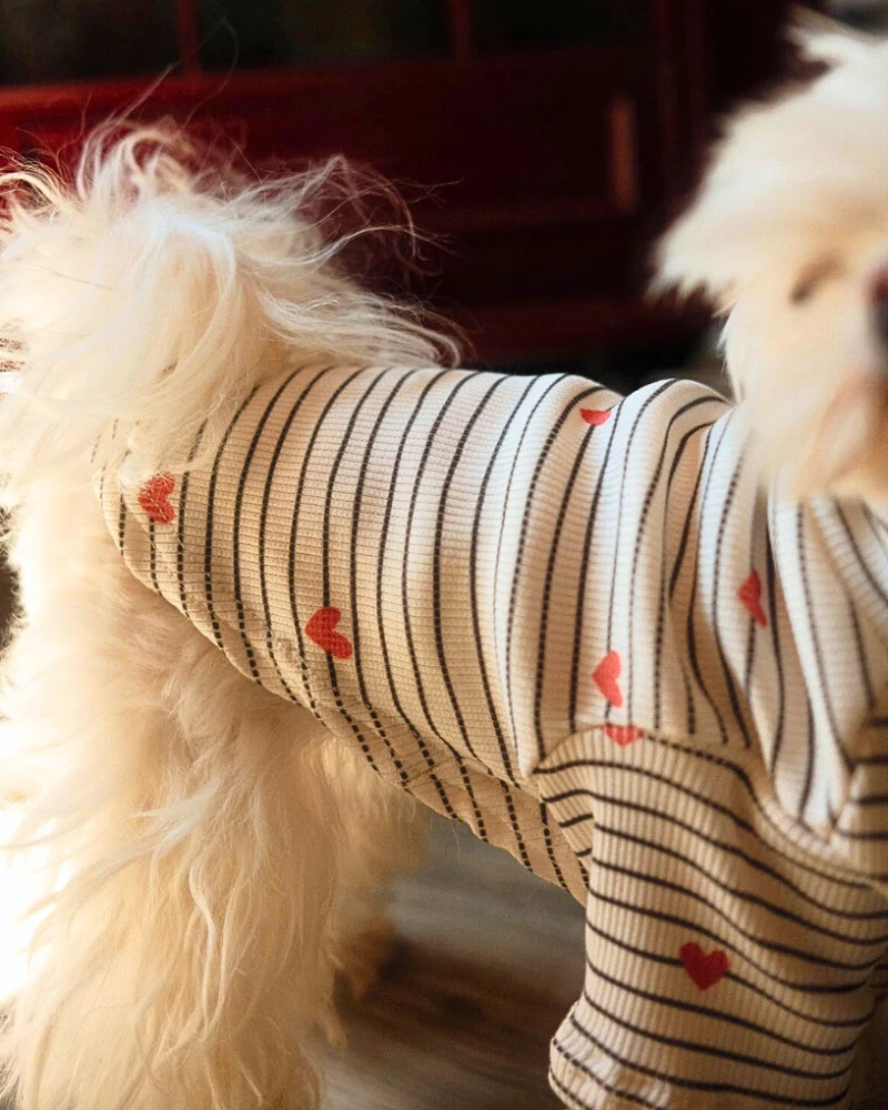 Aveline Striped Heart Dog Pullover - Image 10