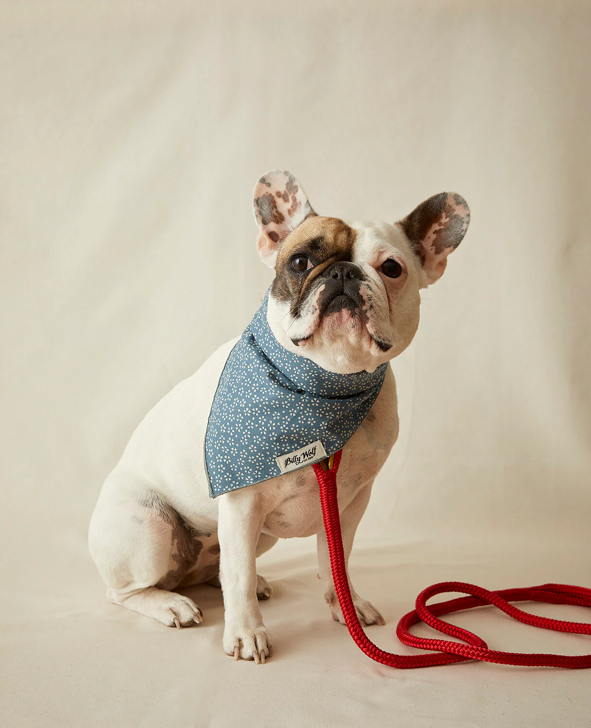 Avery Bandana - Image 2