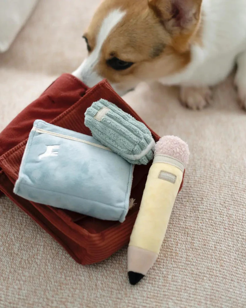 Back to School Backpack Snuffle Plush Dog Toy (FINAL SALE)