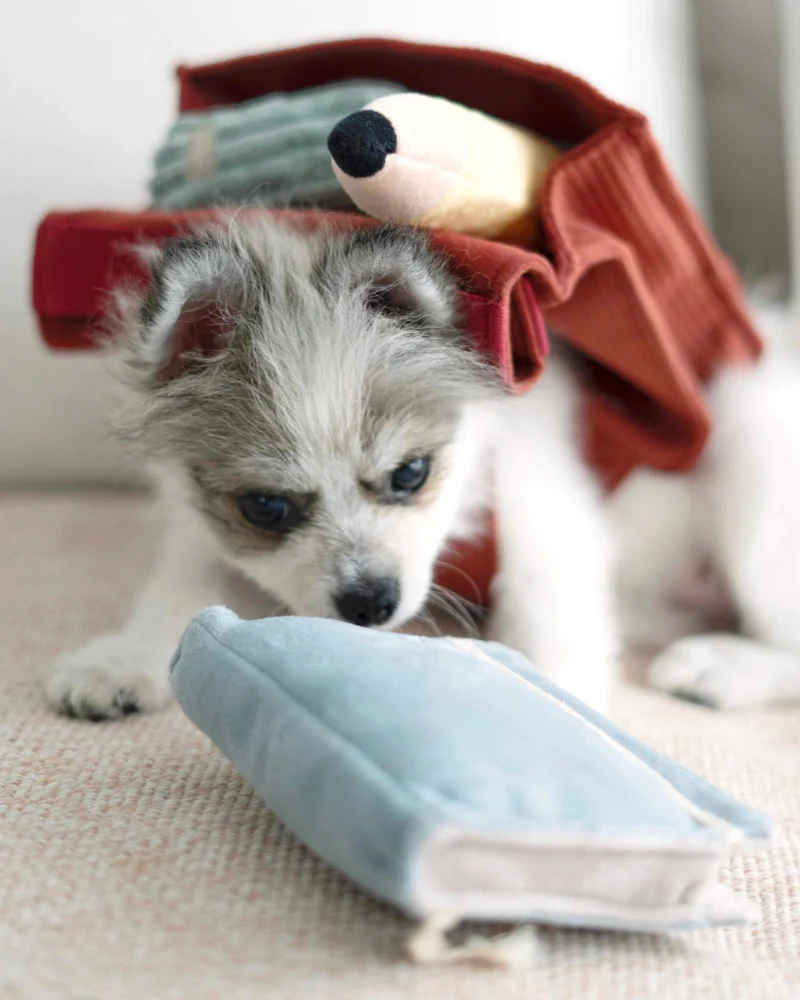 Back to School Backpack Snuffle Plush Dog Toy (FINAL SALE) - Image 2