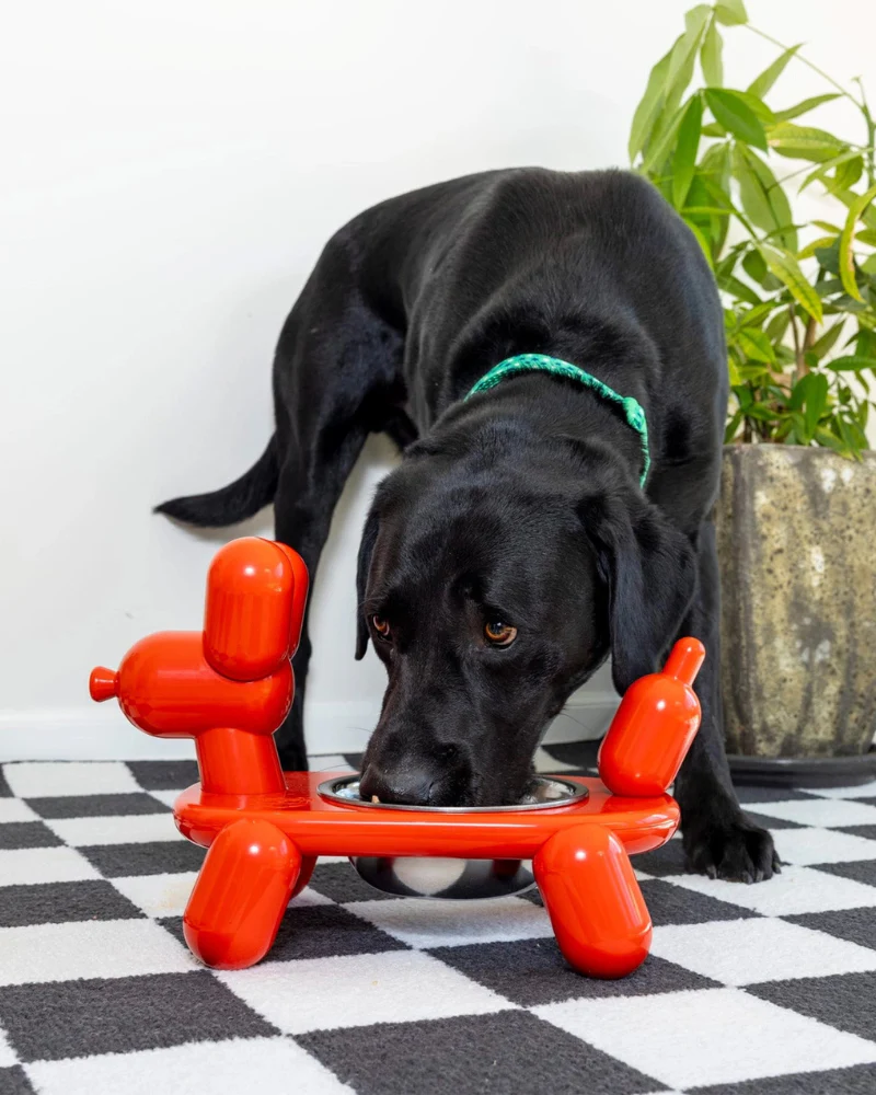 Balloon Dog Elevated Pet Bowl - Image 3