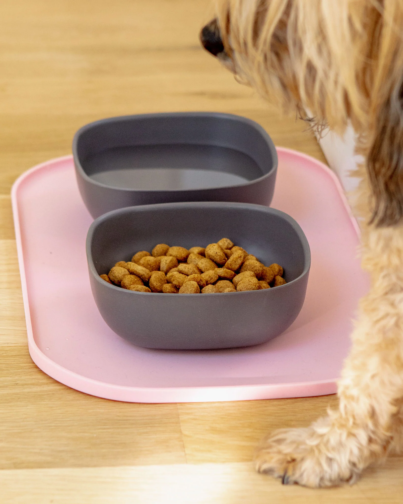 Basic Dog Placemat in Baby Pink
