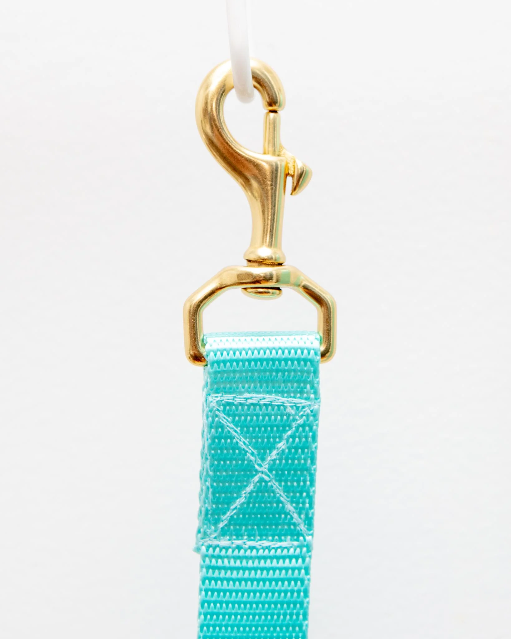 Basic Nylon Dog Leash in Aqua (Made in the USA) (FINAL SALE) - Image 3