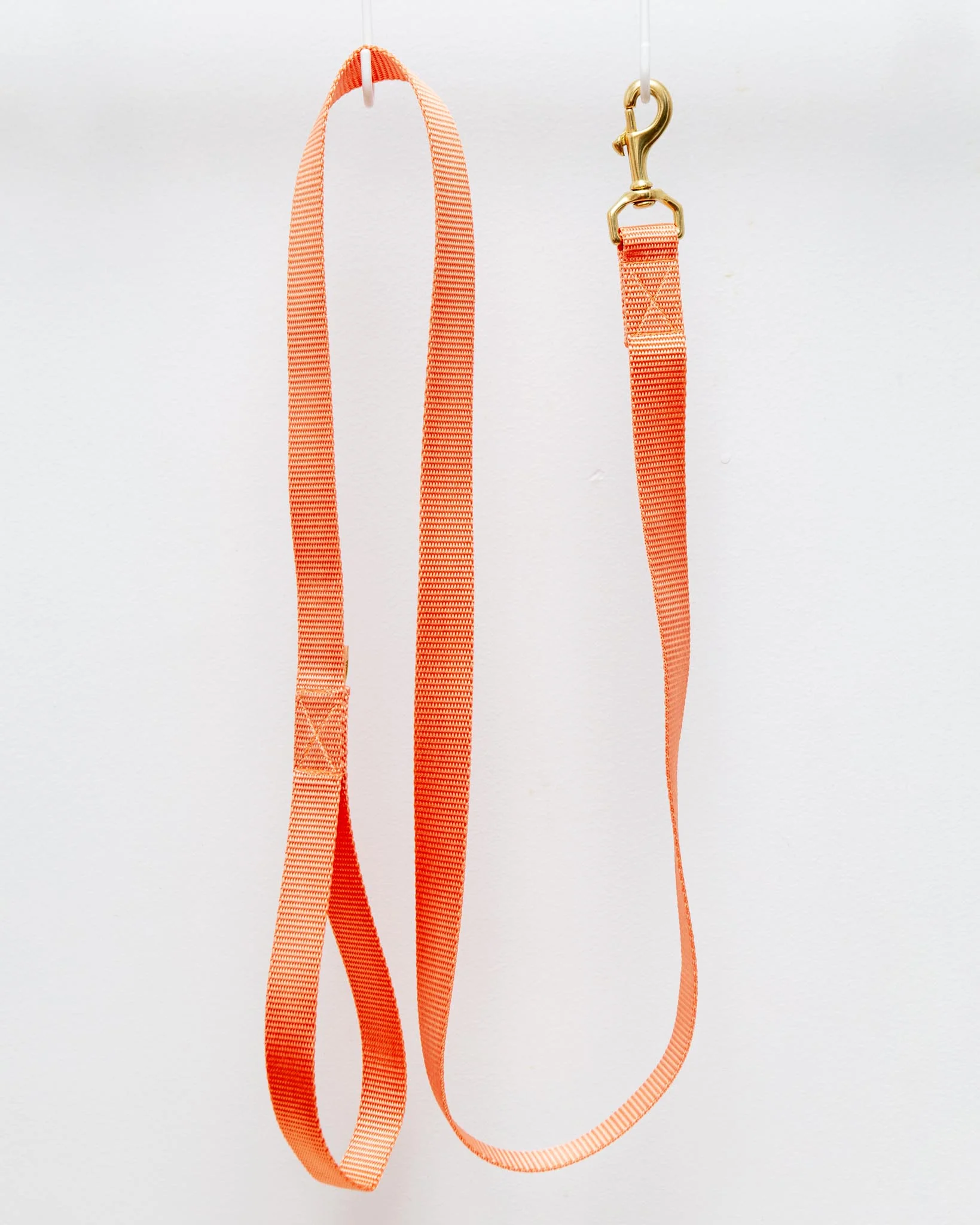 Basic Nylon Dog Leash in Peach (Made in the USA)